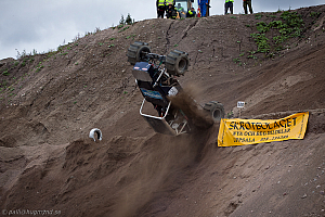 Ronny Pedersen, Troll