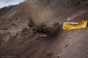 Ronny Pedersen, Troll