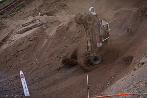 Ronny Pedersen, Troll