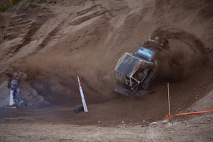 Ronny Pedersen, Troll