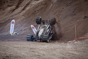 Ronny Pedersen, Troll