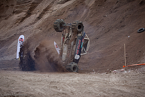 Ronny Pedersen, Troll