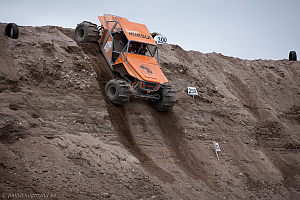 Martin Michaelsen, Insane