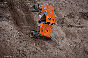 Martin Michaelsen, Insane