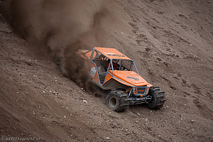 Martin Michaelsen, Insane