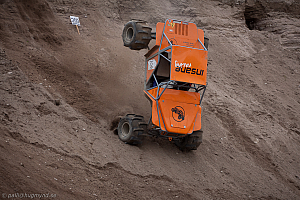 Martin Michaelsen, Insane