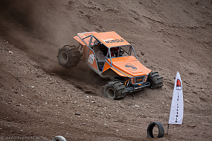 Martin Michaelsen, Insane