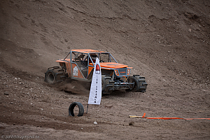 Martin Michaelsen, Insane