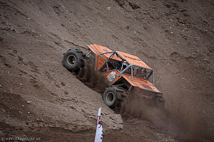 Martin Michaelsen, Insane