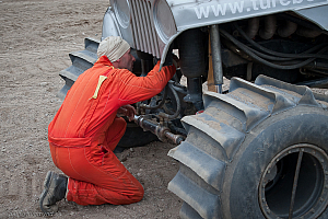 Torbjörn Eriksson, T-Rex