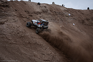 Torbjörn Eriksson, T-Rex