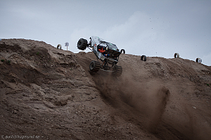 Torbjörn Eriksson, T-Rex