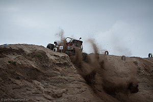 Torbjörn Eriksson, T-Rex