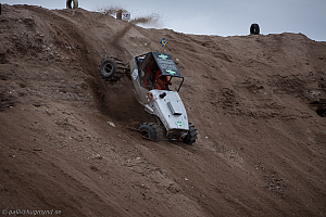 Torbjörn Eriksson, T-Rex