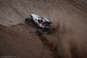 Torbjörn Eriksson, T-Rex