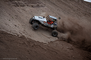 Torbjörn Eriksson, T-Rex