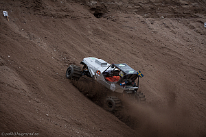 Torbjörn Eriksson, T-Rex