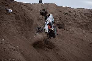 Torbjörn Eriksson, T-Rex