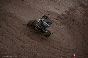 Torbjörn Eriksson, T-Rex