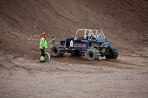 Ronny Pedersen, Troll