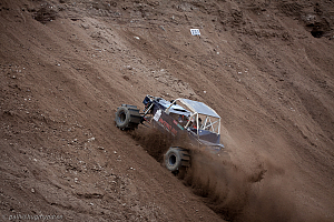 Ronny Pedersen, Troll