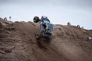 Ronny Pedersen, Troll