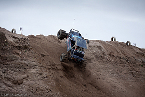 Ronny Pedersen, Troll