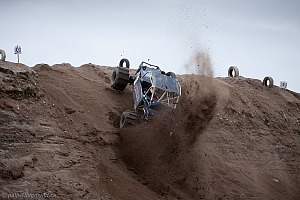 Ronny Pedersen, Troll