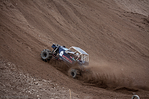 Ronny Pedersen, Troll