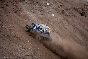 Ronny Pedersen, Troll