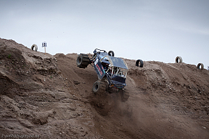 Ronny Pedersen, Troll