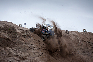 Ronny Pedersen, Troll