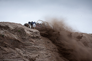 Ronny Pedersen, Troll