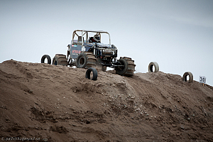 Ronny Pedersen, Troll