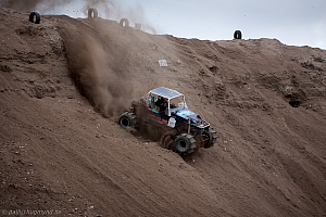 Ronny Pedersen, Troll