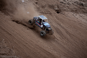 Ronny Pedersen, Troll