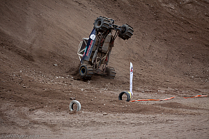 Ronny Pedersen, Troll