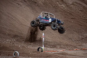 Ronny Pedersen, Troll