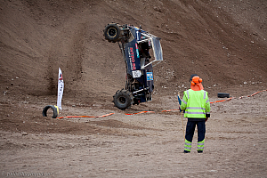 Ronny Pedersen, Troll