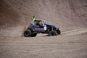 Ronny Pedersen, Troll