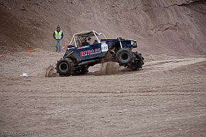 Ronny Pedersen, Troll