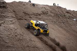 Paul Bjørnerud, Brutus