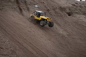 Paul Bjørnerud, Brutus