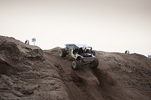 Arne Larsson, Gremlin