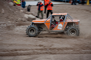 Martin Michaelsen, Insane