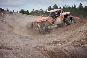 Martin Michaelsen, Insane