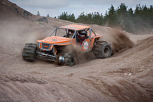 Martin Michaelsen, Insane