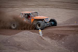 Martin Michaelsen, Insane