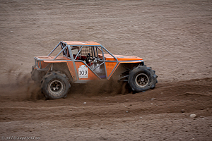 Martin Michaelsen, Insane