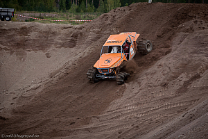 Martin Michaelsen, Insane